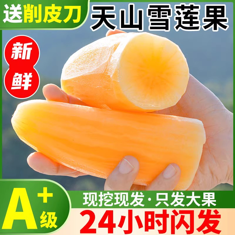 现货速发!云南天山雪莲