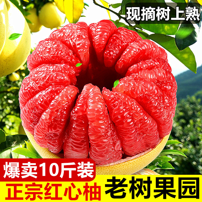 正宗红心柚子10斤蜜柚新