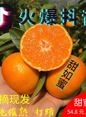 江西易家河蜜橘桔子新鲜甜水果10斤包邮九江永修西海无核薄皮涌泉