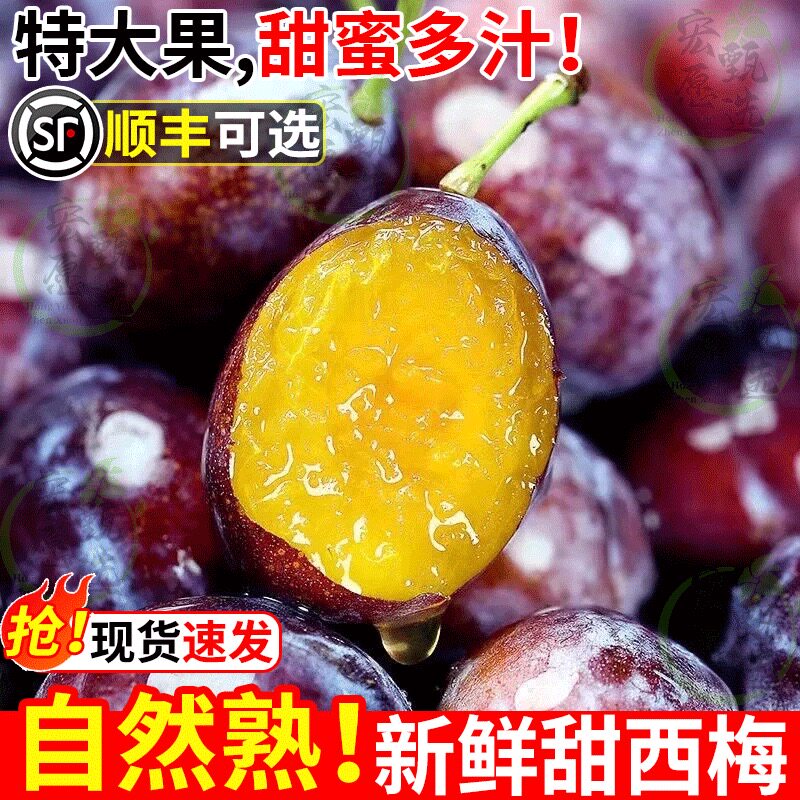现货高山新鲜西梅正宗蓝