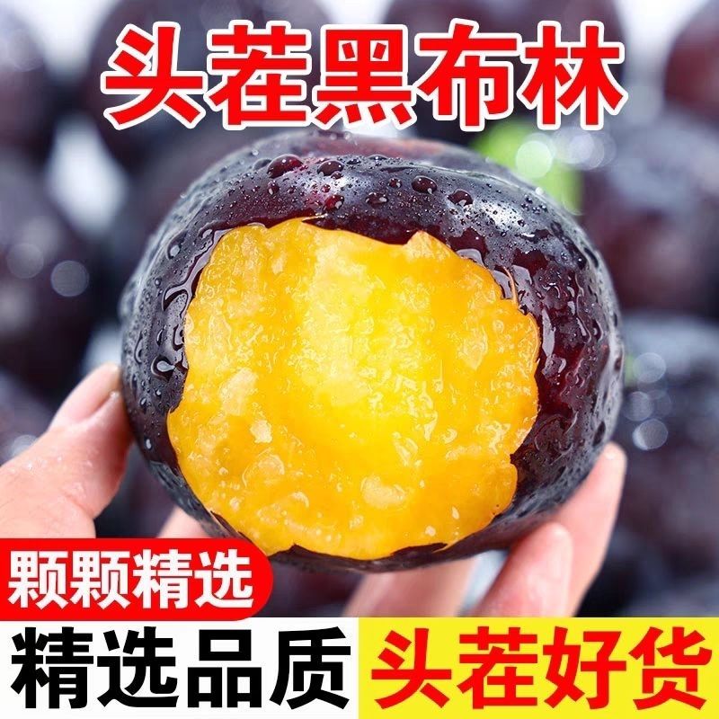 正宗新疆黑布林李子新鲜
