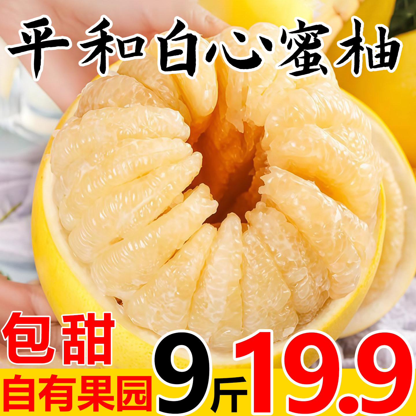 福建白心柚子琯溪平和蜂