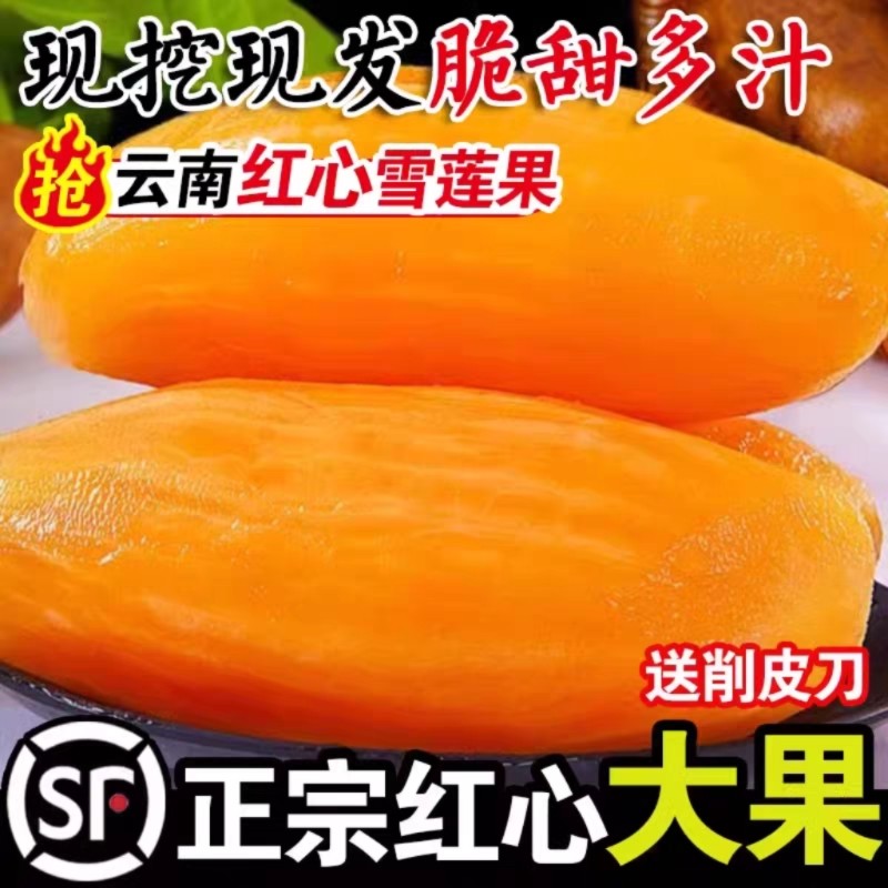 天山雪莲果9斤红心一级新