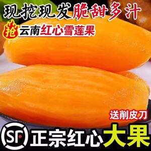 天山雪莲果9斤红心一级新
