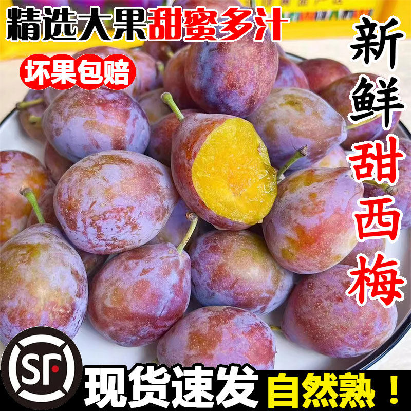 现摘当季新鲜西梅水果箱