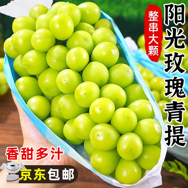 阳光玫瑰青提葡萄整串大