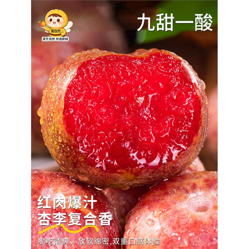 空运新疆恐龙蛋李子新鲜