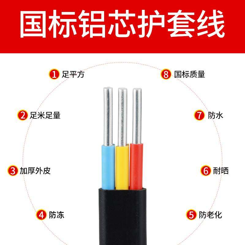 国标2芯3芯电缆线铝芯家用户外电线 4 6 10 16平方架空铝线护套线