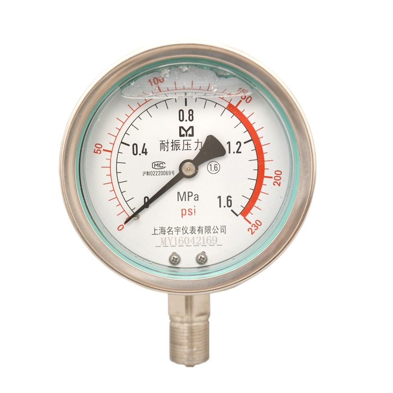 YN100BF不锈钢耐震压p力表304/316L接头表壳耐腐蚀0-0.6/1.6Mpa