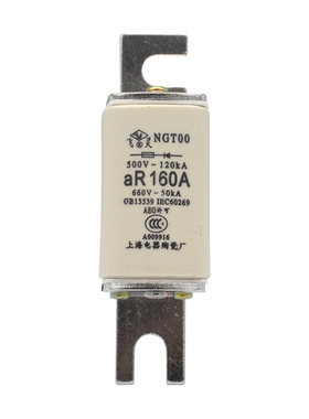快速熔断器 NGT00 63A 80A 100A125AA160A 快速陶瓷保险芯 NGTOO