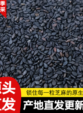黑芝麻新货特级黑芝麻粒炒熟黑芝麻免洗农家自种纯绿色天然芝麻