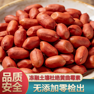 红皮花生米农家自种花生米四粒去壳红衣花生2025年新货生花生煮粥