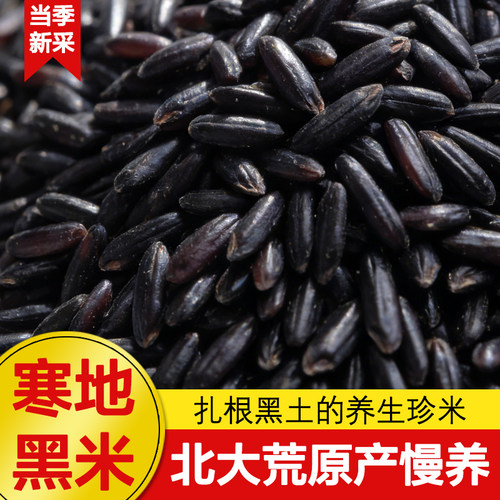 优质黑米新货500g新米无染色煮粥