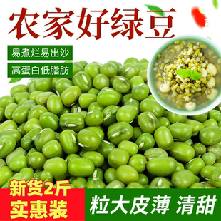 东北优质绿豆新货农家可发芽绿豆五谷杂粮新豆易出沙绿豆沙绿豆汤