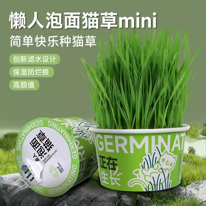 懒人猫草罐头无土盆栽种植化毛去毛球助消化天然小麦罐头猫咪零食
