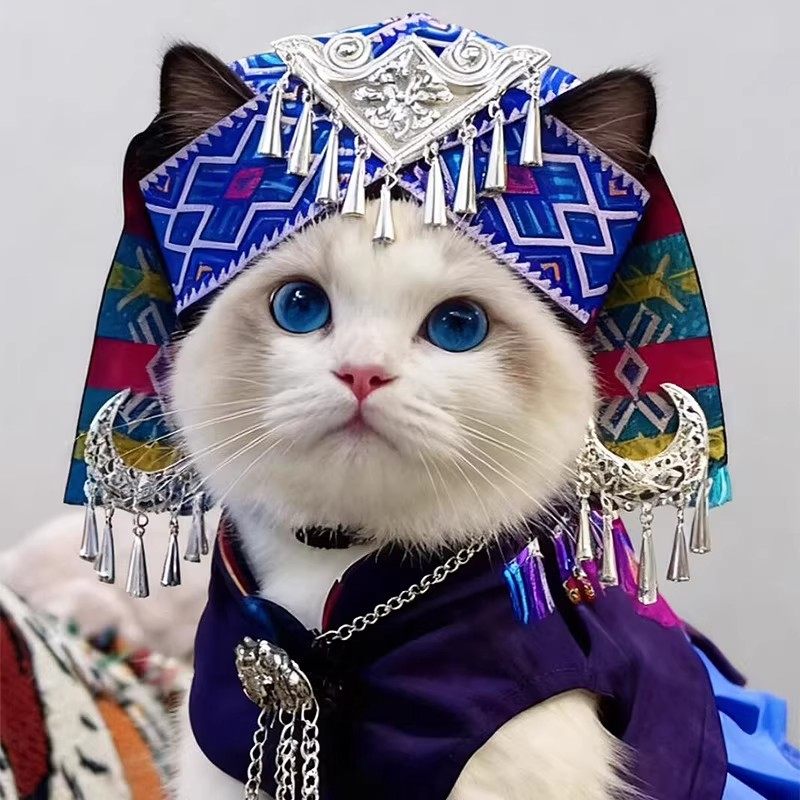 猫咪帽子壮族苗族少数民族头饰宠物民族风头套创意变装拍摄道具,宠物/宠物食品及用品,发饰/头饰,淘宝优惠券,粉丝福利购,淘宝优惠卷