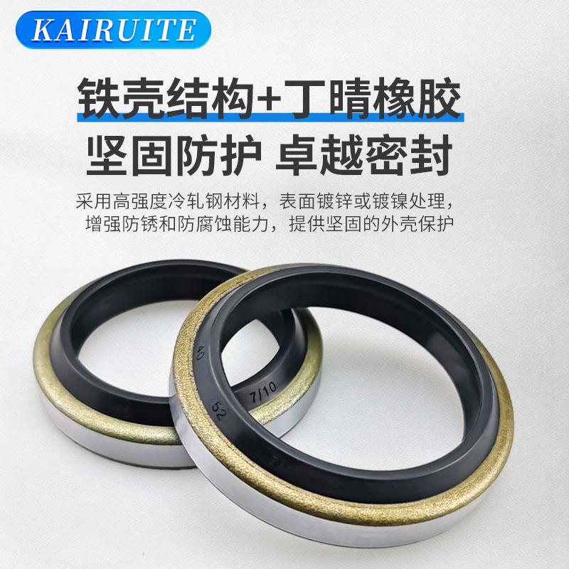 DKB型骨架铁壳防尘圈55/6