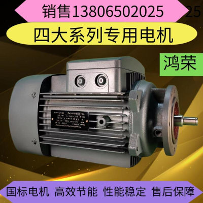 YE3电动机系列 硬齿轮减速机 减速器 变速箱专用电机0.18KW--90KW