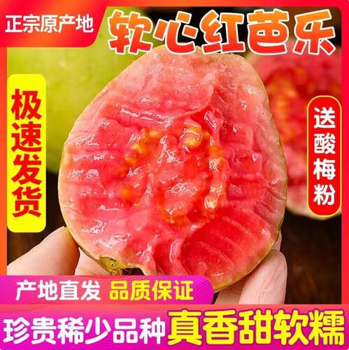 奶油芭乐软糯广西红白双拼芭乐番石榴鸡屎果树熟冰淇淋双拼芭乐