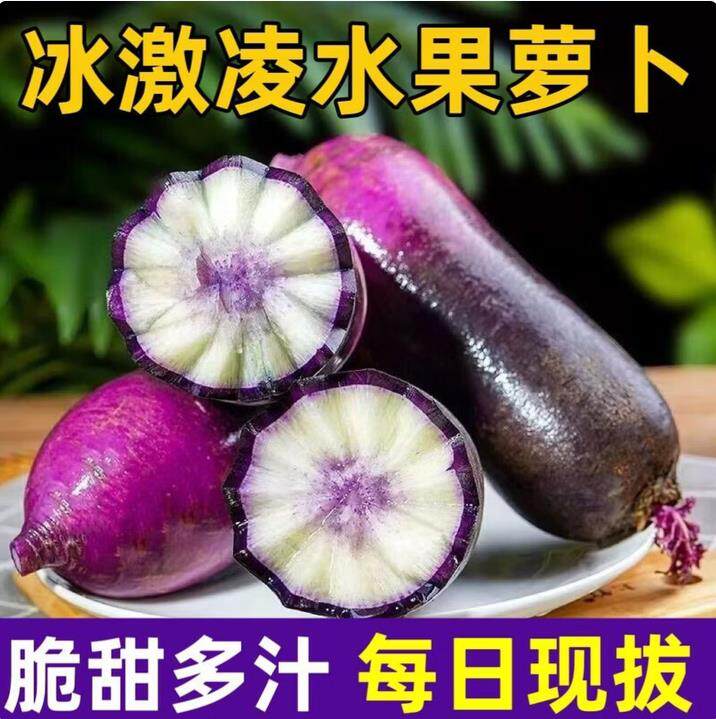 山东冰激凌水果萝卜紫皮萝卜新鲜水果冰激凌萝卜脆甜冰糖心萝卜