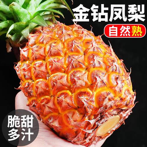 海南金钻凤梨当季时令应季热带水果手撕凤梨 新鲜无眼台湾5斤现摘