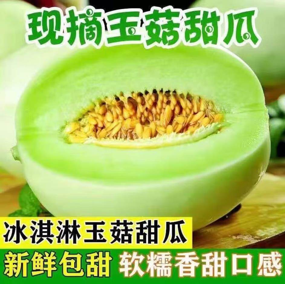 海南玉菇甜瓜冰淇淋玉菇软糯香甜蜜瓜新鲜水果甜瓜密香瓜玉菇甜瓜