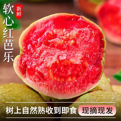 奶油芭乐软糯广西红白双拼芭乐番石榴鸡屎果树熟冰淇淋双拼芭乐