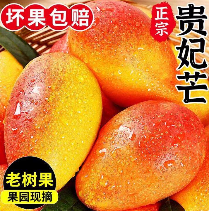 贵妃芒新鲜水果需催熟广西芒果发货当季薄核厚肉香甜红金龙新鲜