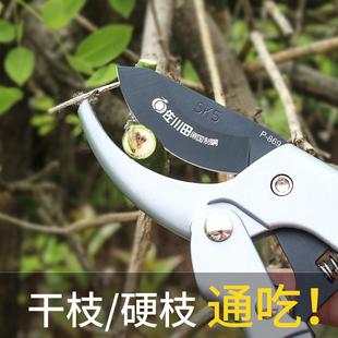 德国钢修枝剪滑轮剪花枝剪园艺花艺省力剪刀细枝粗枝家用不生锈