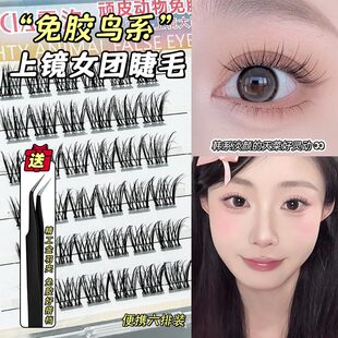 淡颜天菜!!清透鸟系女团睫灵动上镜层次感十足根根分明免胶假睫毛