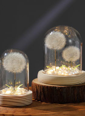 创意蒲公英小夜灯台灯装饰品摆件