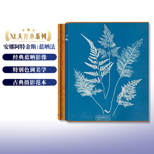 安娜·阿特金斯：蓝晒法