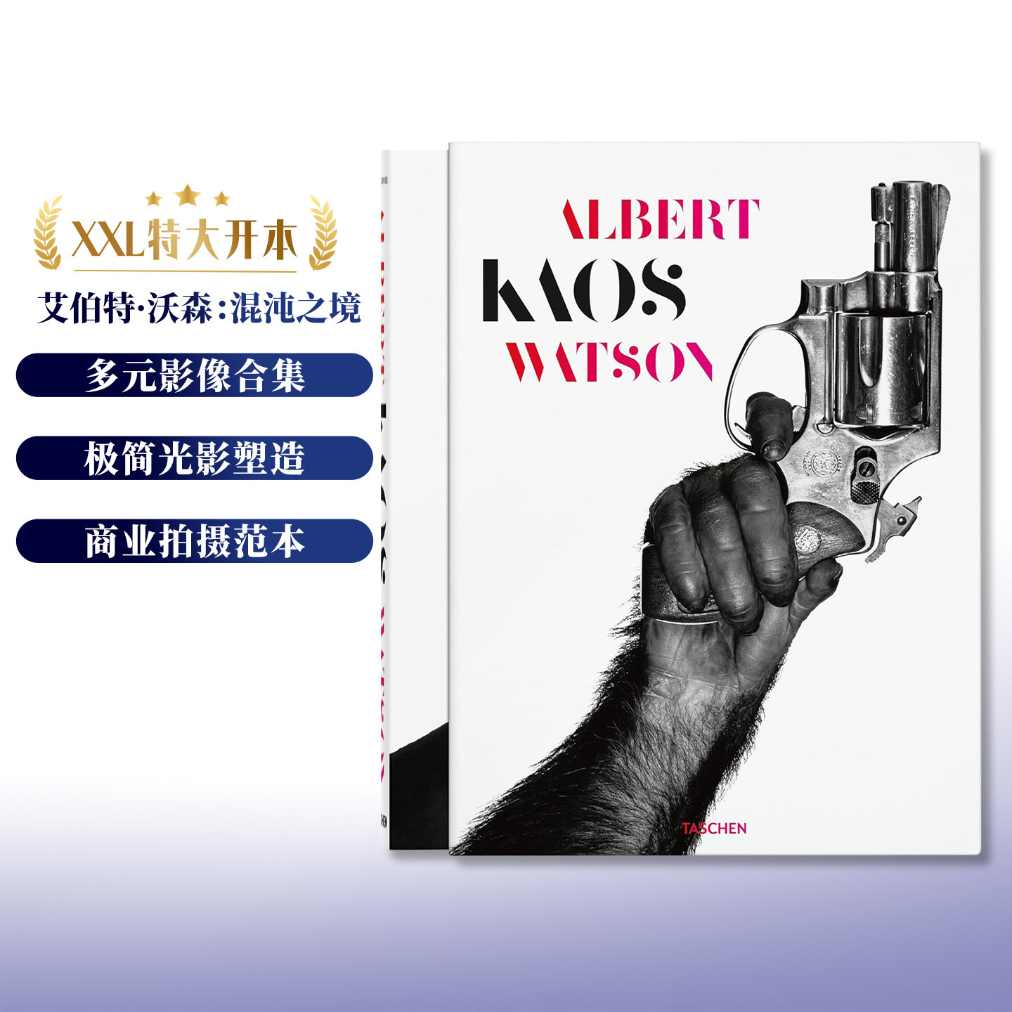 艾伯特·沃森摄影集:混沌之境