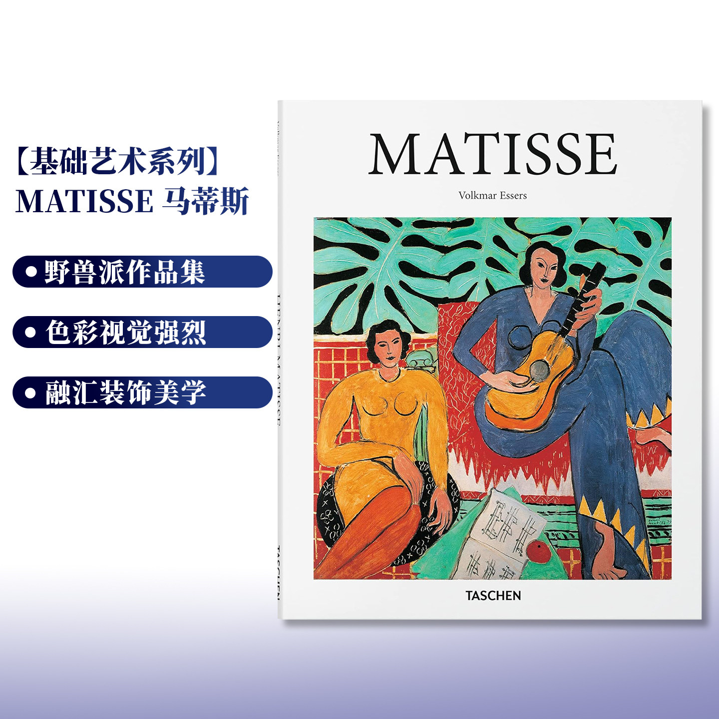 马蒂斯绘画作品精选野兽派画册图片