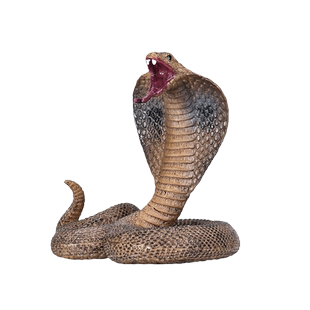 仿真冷血动物模型蛇玩具响尾蛇蟒蛇眼镜王蛇软胶儿童益智礼物摆件