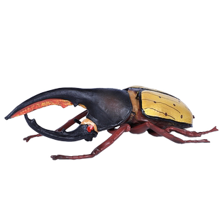 仿真昆虫玩具蜜蜂蚂蚱蜻蜓壁虎天牛蟋蟀蜘蛛蝴蝶动物模型儿童礼物