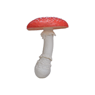 仿真野生香菇模型毒绳伞玩具蘑菇双鲍菇松茸造景场景DIY蔬菜摆件