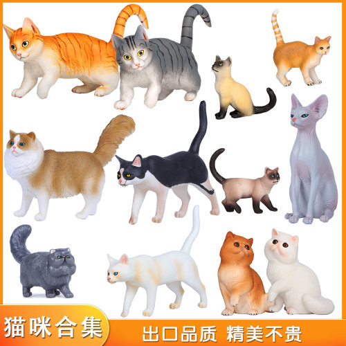 波斯猫湄公河儿童认知动物模型