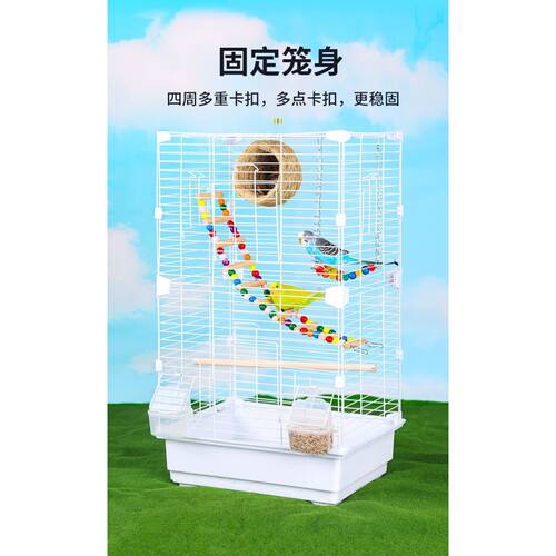 适合鹦鹉的鸟笼子玻璃鹦鹉笼珍珠鸟双层加密高透组装加粗绣眼养殖