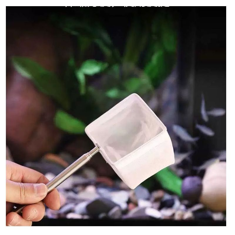 不锈钢伸缩鱼网3D渔捞抄网热带鱼捞网鱼缸专用