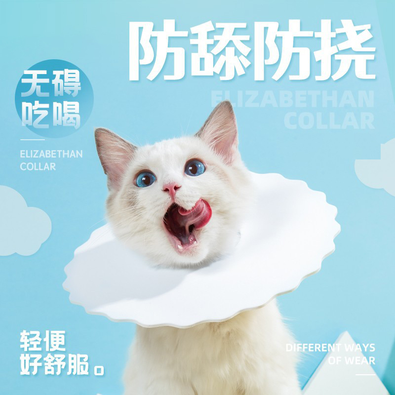 小奶猫防舔猫头套德文猫周抛式项圈防咬舒适护颈罩