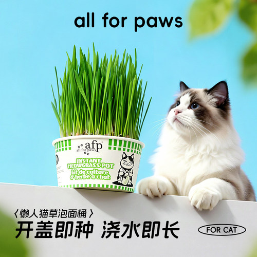 afp懒人泡面猫草杯盆栽助排毛球草种植猫咪零食拌粮自种独立包装