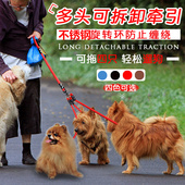 一拖二狗牵引绳防缠绕双头狗绳泰迪金毛小型大型犬一拖三多头狗链