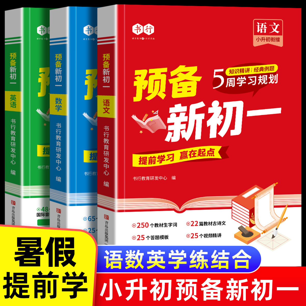 2025新版初一知识学练结合