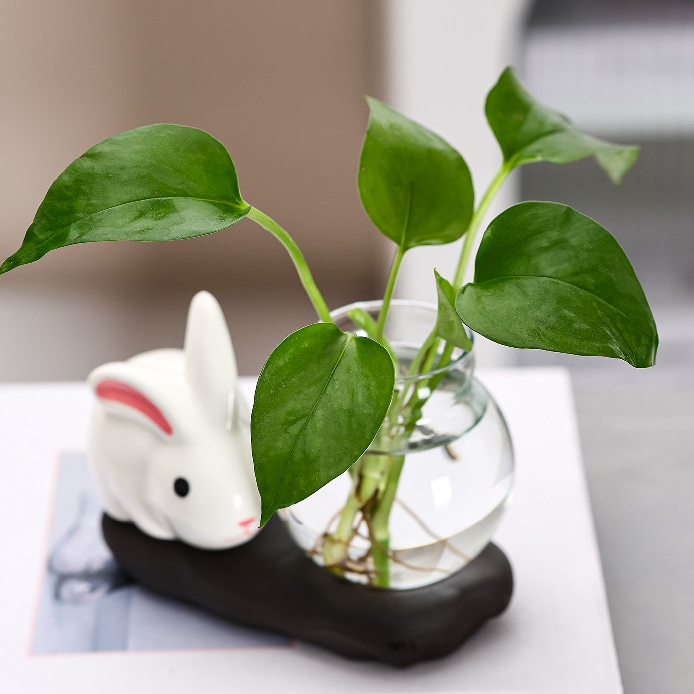 可爱陶瓷兔子水培花盆水养花瓶陶瓷花盆透明多肉花盆桌面装饰,家居饰品,花瓶,淘宝优惠券,粉丝福利购,淘宝优惠卷