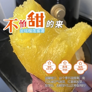 【榴莲蜜薯】高端蜜薯金瑶蜜薯鸣门金时榴莲蜜薯香甜软糯可蒸可烤