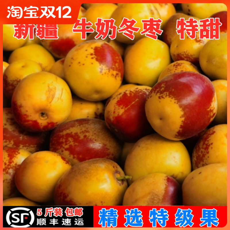 新疆冬枣新鲜水果5斤大果顺丰包邮 冰糖脆枣特大牛奶枣子脆甜可口
