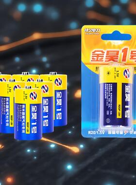 精选优选金昊D型电池高性能无汞环保燃气灶热水器专用R20电池1.5V