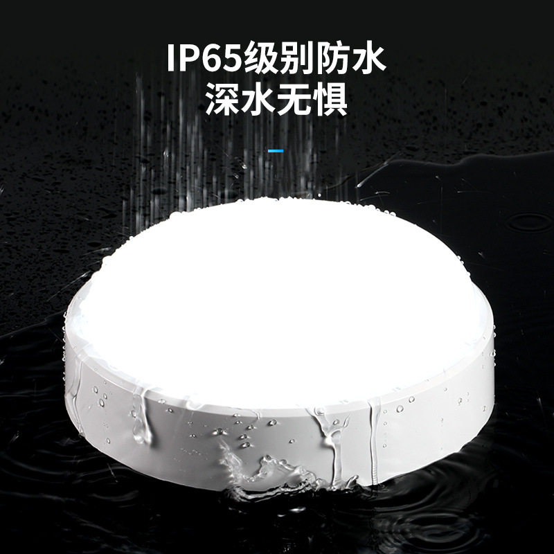LED防潮灯防爆防水灯吸顶