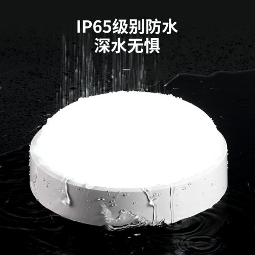 LED防潮灯防爆防水灯吸顶